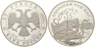 Россия 25 рублей 1996 ЛМД, сохраним наш мир - Амурский тигр, вес 173,2 гр, диаметр 60 мм Y 536 серебро PROOF 11-097-22-2