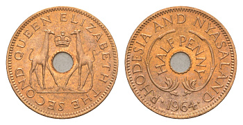 Родезия и Ньясаленд 1/2 пенса 1964 Елизавета II (1952-2022), жирафы KM  1 бронза  UNC  4640-869