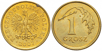 ПОЛЬША 1 ГРОШ 2007 MW KM 276 латунь UNC 4516-1052