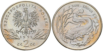 Польша 2 злотых 1995 серия сохраним природу, сом KM 289 медно-никель UNC 4574-744