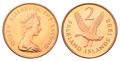 Фолклендские острова (Фолкленды) 2 пенса 1998 Елизавета II (1952-2022), магелланов гусь KM 3 сталь плакированная медью  UNC  4675-546