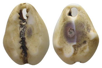 Гвинея, Территория Индийского Океана каури до 1882 деньги домонетного периода 11-069-32