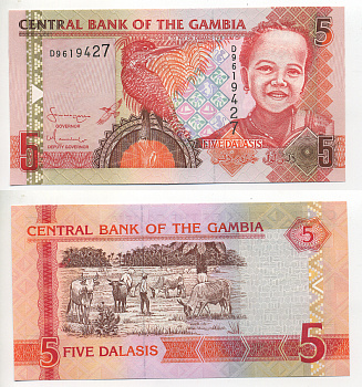Гамбия 5 даласи ND (2006-2014) Гигантский пегий зимородок, девочка Pick 25 a бумага UNC (пресс) 6278-52-3