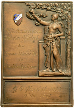 Германия плакетка 1927 ассоциация R.V.M - Вильгельму Нагелю, эротика, 103 мм на 152 мм, 312,2 гр. бронза 7-5-6-37
