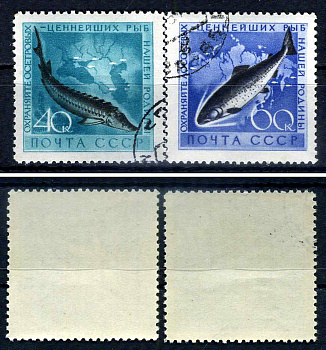 СССР набор из 2 марок (40 и 60 копеек) 1959 Охрана морской фауны - осетр, лосось Загорский 2246 и 2247    почтовое гашение 8707-5-3-1