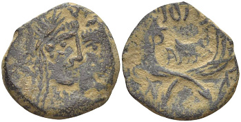 Набатея AE 20 - 40 гг. Арета IV, бюсты Ареты IV и царицы Шакилат / два рога изобилия, Петра Meshorer 114 медь 1073-21-102