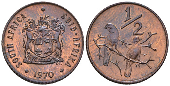 ЮАР 1/2 цента 1970 два капских воробья на ветке KM 81 бронза  aUNC  220-949