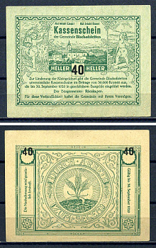 Бишофштеттен (Австрия) 40 геллеров 1920 Jaksc/Pick?JPR0472I-10.1 бумага UNC (пресс) 7556-27-4-2