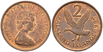 Фолклендские острова 2 пенса 1987 Елизавета II (1952-2022), магелланов гусь KM 3 бронза 87-113