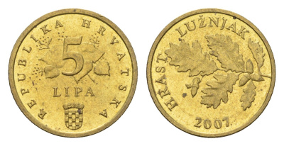 Хорватия 5 лип 2007 нечетный год KM 5 сталь плакированная латунью aUNC 4659-669