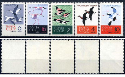 СССР набор из 5 марок (3, 4, 6, 10 и 16 копеек) 1962 Птицы - розовые скворцы, Краснозобые казарки, Белые гуси, Белые журавли, Фламинго Загорский 2688, 2689, 2690, 2691, 2692    марка с оригинальным клеем, без следов наклейки (чистая) 8707-1-6-2