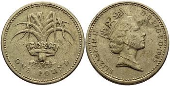 Великобритания 1 фунт 1985 Елизавета II (1952-2022) KM 941, Spink 4331 никель латунь 86-752