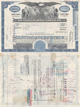 США, Pan American World Airwaysсертификат на 100 акций1972бумага5554-26-2
