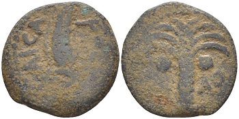 Римская Империя, Провинция Иудея прута 5/6 год император Август, прокуратор Копоний, греческая легенда 'КЕСАРЬ', хлебный колос / пальмовое дерево, дата (36-й год правления), Иерусалим Hendin 1328 медь 1073-21-26
