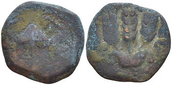 Иудея, династия Ирода прута 41/42 год Агриппа I, греческая легенда 'царь Агриппа', зонт / три хлебных колоса, дата (6-й год правления), Иерусалим Hendin 1244 медь 1073-21-44