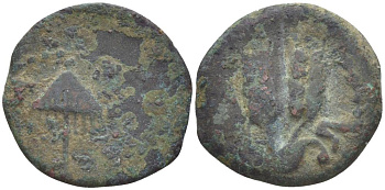Иудея, династия Ирода прута 41/42 год Агриппа I, греческая легенда 'царь Агриппа', зонт / три хлебных колоса, дата (6-й год правления), Иерусалим Hendin 1244 медь 1073-21-37