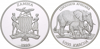 Замбия 5000 квача 1999 Африканские слоны KM 92 серебро PROOF 1068-1-31