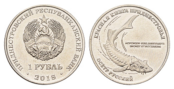 Приднестровье 1 рубль 2018 Красная книга - Русский осётр (Acipenser gueldenstaedtii) KM 303 сталь плакированная никелем UNC 4669-1126
