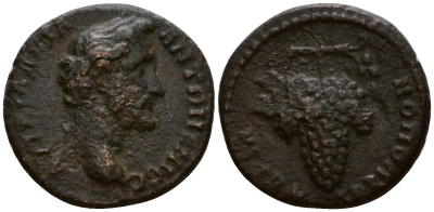Римская Империя, Провинция Фракия, Адрианополь AE 138 - 161 Антонин Пий, бюст императора / виноградная гроздь RPC online IV.1 10529 бронза 1100-8-41