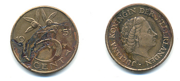 НИДЕРЛАНДЫ 5 ЦЕНТОВ 1951 ЮЛИАНА KM 181 бронза 83-845