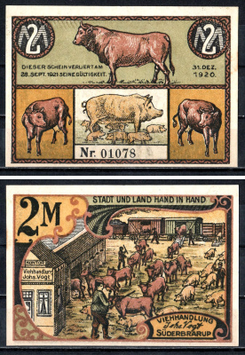 Зюдербраруп (Пруссия, Шлезвиг-Гольштейн) 2 Марка 1920 Mehl Grabowski 1297.1.1b бумага UNC (пресс) 7556-54-3-2