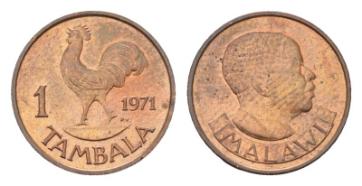 Малави 1 тамабла 1971 KM 7 бронза UNC 4655-117