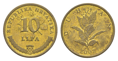 Хорватия 10 лип 2007 табак обыкновенный, нечетный год KM 6 сталь плакированная латунью UNC 3309-568