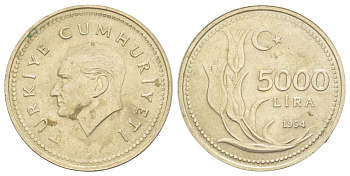 Турция 5000 лир 1994 KM 1025 никель латунь aUNC 4629-726
