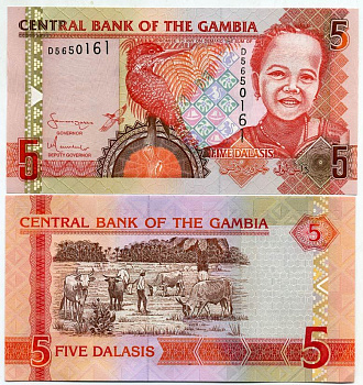 Гамбия 5 даласи ND (2006-2014) Гигантский пегий зимородок, девочка Pick 25 a бумага UNC (пресс) 448-15-2
