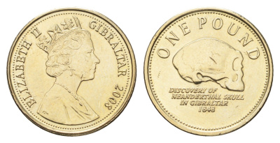 Гибралтар 1 фунт 2008 Елизавета II (1952-2022) KM 1091 никель латунь UNC 4666-432