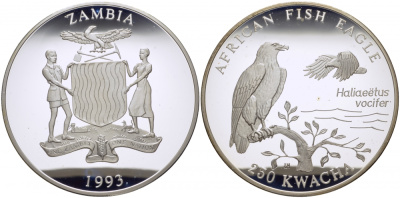 Замбия 250 квача 1993 Африканский рыбный орел, тираж 5000 экземпляров KM 34 серебро PROOF 01-097-12-1