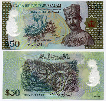 Бруней 50 ринггитов 2004 Султан Хассанал Болкиах I (1967-) Pick 28 пластик UNC (пресс) 451-394-3