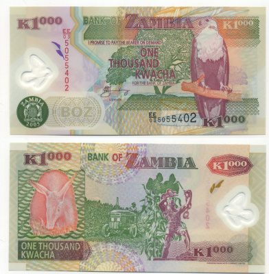 Замбия 1000 квач 2005 трубкозуб, трактор, статуя Свободы в Лусаке Pick 44 d пластик UNC (пресс) 7204-32-3