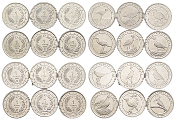 Турция лот из 12 монет номиналом 1 куруш 2020 Анатолийские птицы KM NEW алюминий  UNC  M67-20