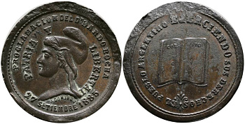 Аргентина медаль 1885 прокламация доктора Рохаса 27 сентября 1885 года, PATRIA Y LIBERTAD, диаметр 27 мм. бронза 4531-1216