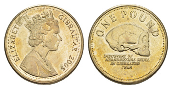 Гибралтар 1 фунт 2005 Елизавета II (1952-2022) KM 1091 никель латунь UNC 4646-1113