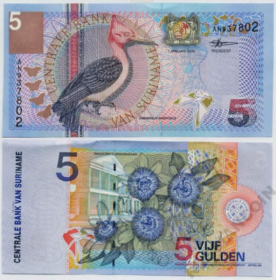 Суринам 5 гульденов 2000 птица Red-necked woodpecker, TDLR Pick 146 бумага UNC (пресс) 447-75-3