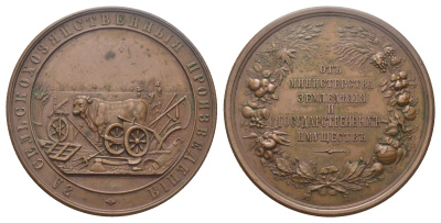 Россия медаль 1894-1902 3а сельскохозяйственные произведения. От Министерства земледелия и государственных имуществ Дьяков 1157.2 бронза   10-004-21