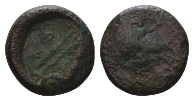 Боспорское Царство тетрахалк 220-210 года до н.э. Фанагория медь 4669-257