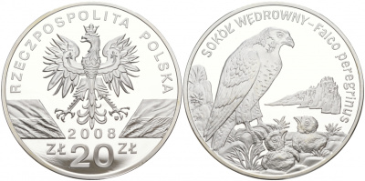 Польша 20 злотых 2008 серия всемирная природа, сапсан KM 637 серебро PROOF 1091-2-23