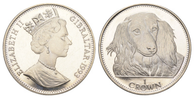 Гибралтар 1 крона 1993 Лучшие друзья человека (собаки) - Такса KM 192 медно-никель BU 1524-1545