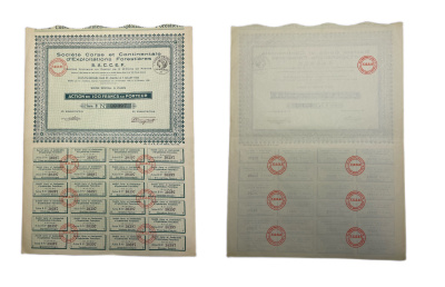 Франция, St Corse et Continentale d'Exploitations Forestires акция в 100 франков 1928 24 купона бумага 5548-87-1-2