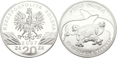 Польша 20 злотых 2007 серия сохраним наш мир, длинномордый тюлень KM 603 серебро PROOF 1091-2-24