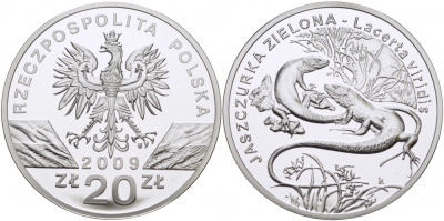 Польша 20 злотых 2009 серия сохраним наш мир, зеленая ящерица KM 679 серебро PROOF 1077-6-61
