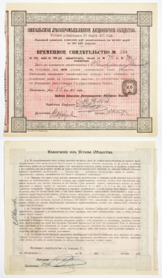 Россия Никольское Лесопромышленное акционерное общество. Временное свидетельство на пять акций по 100 рублей 1917 бумага 5547-32-2-1
