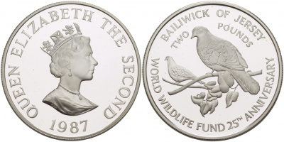 Джерси 2 фунта 1987 серия 25 лет защиты окружающей среды, голуби KM 70a серебро PROOF 1068-6-32