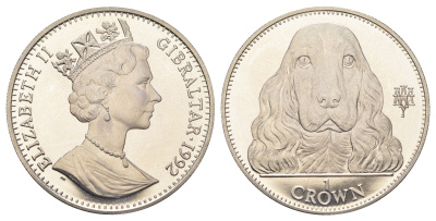 Гибралтар 1 крона 1992 Лучшие друзья человека (собаки) - Кокер-спаниель KM 103 медно-никель BU 1524-1544